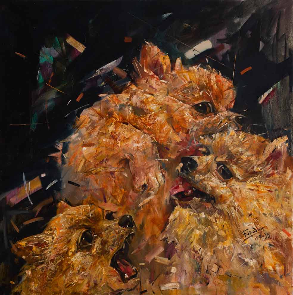 Ненависть шпицев.